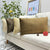 LAXEUYO Velvet Cushion Covers 30x50 cm, Colorful Multi-Color Optional Soft Decorative Square Throw Pillow Cover Pillowcase for Livingroom Sofa Bedroom - Beige