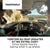 TomTom Car Sat Nav GO Essential, 6 Inch, with Traffic Congestion and Speed Cam Alert trial thanks to TomTom Traffic, EU Maps, Updates via WiFi, Handsfree Calling, Click-And-Drive Mount
