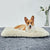 ANWA Dog Bed Pet Cushion Crate Mat Soft Pad Washable and Cozy for Medium Large Dog