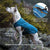 Kurgo Loft Dog Jacket and Reversible Dog Coat, Available in X-Small, Small, Medium, Large and X-Large Sizes
