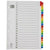 Rexel Mylar A4 1-20 Index White Colour Tab