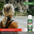 Jungle Formula Maximum Aerosol Insect Repellent 125 ml 1 Units